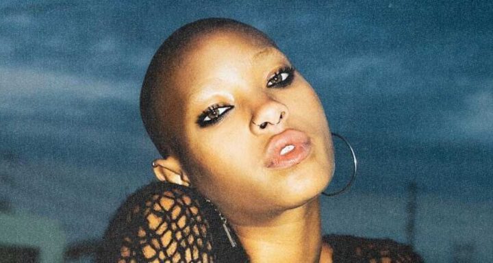 willow-e-confirmada-no-lollapalooza-brasil-2023-foto-1024x384